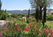 France Vacation Villa - St Remy-de-Provence, Provence
