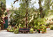 Finca Belon Spain  Vacation Villa - Mutxamel, Alicante, Valencia