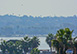Diamond St Luxury I California Vacation Villa - San Diego