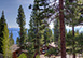 North Cottage Hideaway California Vacation Villa - North Lake Tahoe