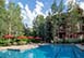 Diamond Estate Colorado Vacation Villa - Arrowhead, Vail