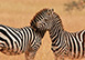 Mahali Mzuri, Sir Richards Camp, Kenya, Africa