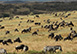 Mahali Mzuri, Sir Richards Camp, Kenya, Africa