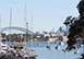 Bayside Darling Point Australia Vacation Villa - Darling Point, Sydney
