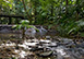 Rainforest Estate, Cairns Australia, Weddings Australia