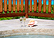 Dreamcatcher Villa Caribbean Vacation Villa - Anguilla