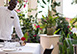 Quintessence - Grand Mansion Anguilla Vacation Villa - Long Bay