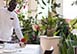Quintessence - Grand Mansion Anguilla Vacation Villa - Long Bay
