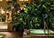 Quintessence - Grand Mansion Anguilla Vacation Villa - Long Bay