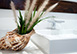 Palm Point Antigua Vacation Villa - 