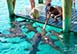 Birdcage Villa Private Island Vacation Villa - Exumas, Bahamas