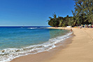 Coral Cove 1 Barbados