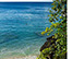 Barbados Vacation Rental - Cove Spring House