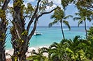 Crows Nest Barbados