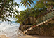 Crystal Springs Barbados Vacation Villa - St. James