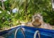 Ebbtide Barbados Vacation Villa - Fitts Village, St. James