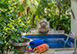 Ebbtide Barbados Vacation Villa - Fitts Village, St. James