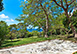 Barbados Vacation Villa - Fustic Village