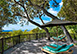 Barbados Vacation Villa - Fustic Village