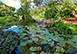 Gardenia Barbados Vacation Villa - West Coast