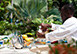 Greensleeves Barbados Vacation Villa - St. Peter