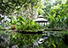 Greensleeves Barbados Vacation Villa - St. Peter