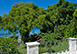 Barbados Vacation Villa 
