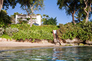 Merlin Bay Hibiscus Barbados