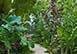 Barbados Vacation Rental 