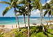 Reeds House 1 Barbados Vacation Villa - St. James