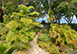 St. Helena Barbados Vacation Villa - St. James
