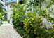 Barbados Vacation Rental 
