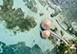 Premier Oceanfront Cabana Caribbean Vacation Villa - Thatch Caye, Private Island, Belize