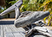 Caribbean Vacation Villa - Bonaire