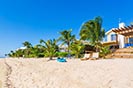 Caribbean Paradise 7 Cayman