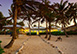 Coconut Beach Grand Cayman Vacation Villa - Northeast