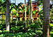 Casa Carey Dominican Republic Vacation Villa - Punta Cana