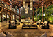 Las Hamacas Dominican Republic Vacation Villa - Cap Cana