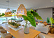Ocean Eleven Dominican Republic Vacation Villa -  Cap Cana