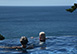Mount Edgecombe Villa Rental Grenada, West Indies