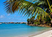 Treefrog Villa  Grenada Vacation Villa - St Tropez