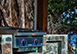 Ophelia Grenadines Vacation Villa - Bequia