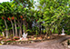 Bali Hai Jamaica, Caribbean Vacation Villa - Montego Bay