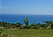Jamaica Vacation Villa - Montego Bay