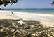 Frankfort on the Beach Jamaica Vacation Villa - Montego Bay