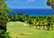 Jamaica Vacation Villa - Montego Bay