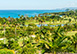 Hibiscus Jamaica Vacation Villa - Hanover