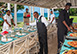 Jamaica Vacation Villa - Tryall,Sandy Bay, Hanover