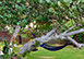 Jamaica Vacation Villa - Discovery Bay