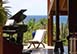 St. Barts Vacation Rental